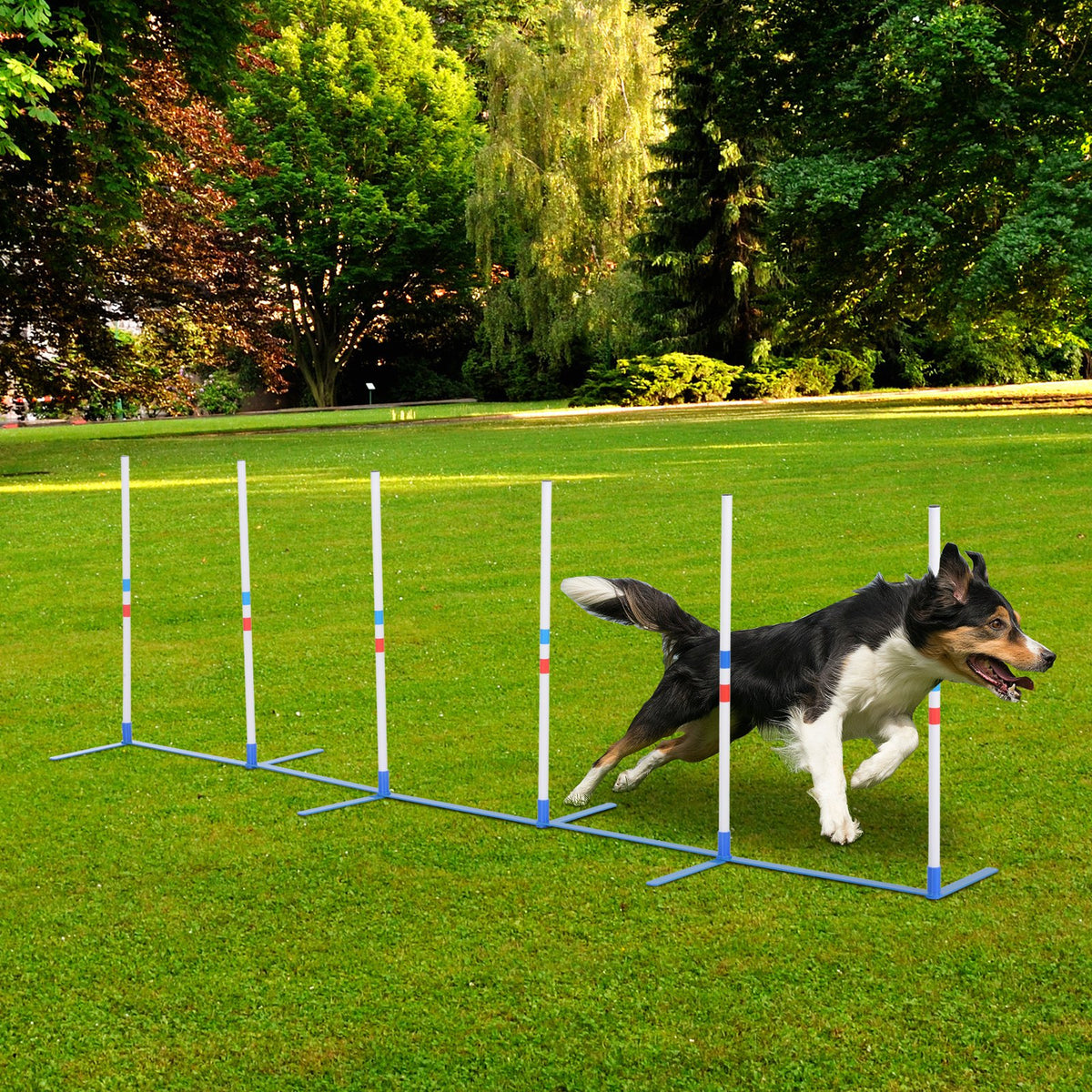 Dog weaving through white agility poles on grass