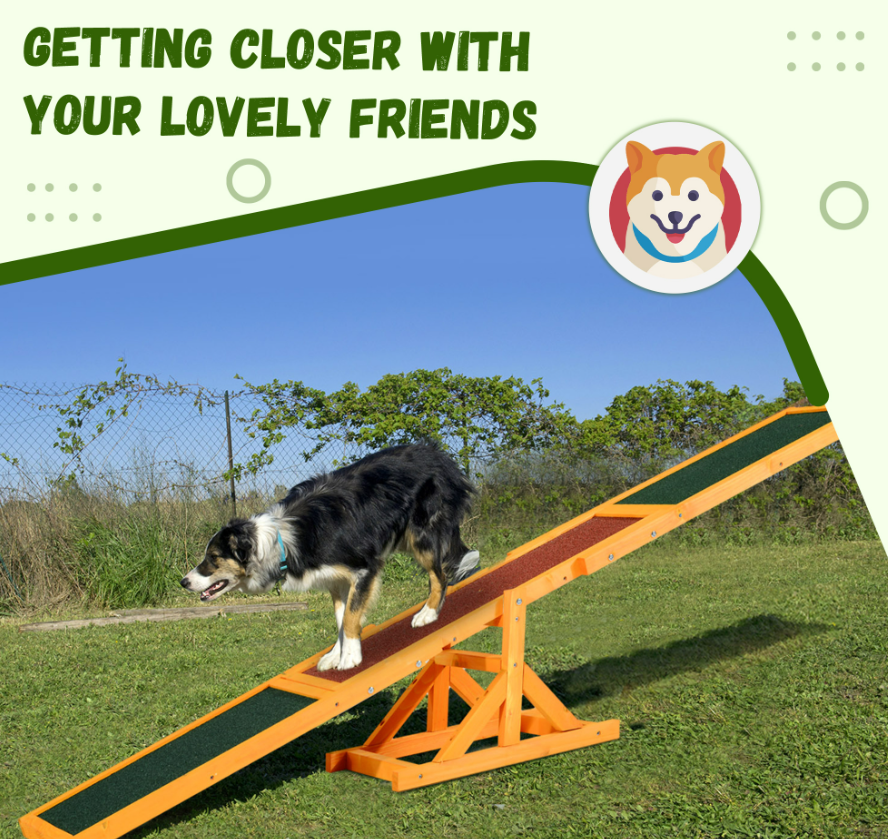 Lifestyle graphic of a Border Collie walking on the wooden agility seesaw in a grassy park, captioned getting closer with your lovely friends.