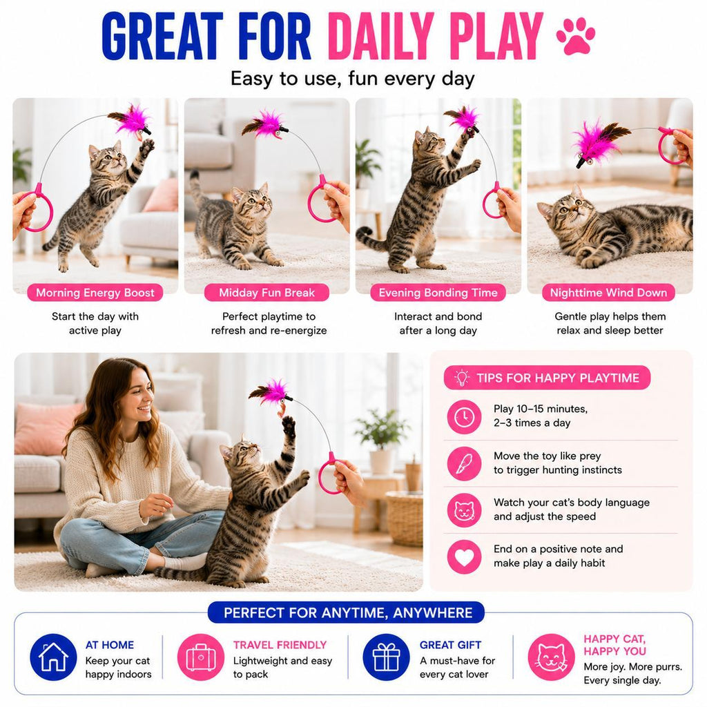 Great for daily play graphic showing a tabby cat in morning, midday, evening, and nighttime play routines with tips for happy playtime.