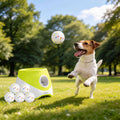 Dog playing with green automatic ball launcher in a park