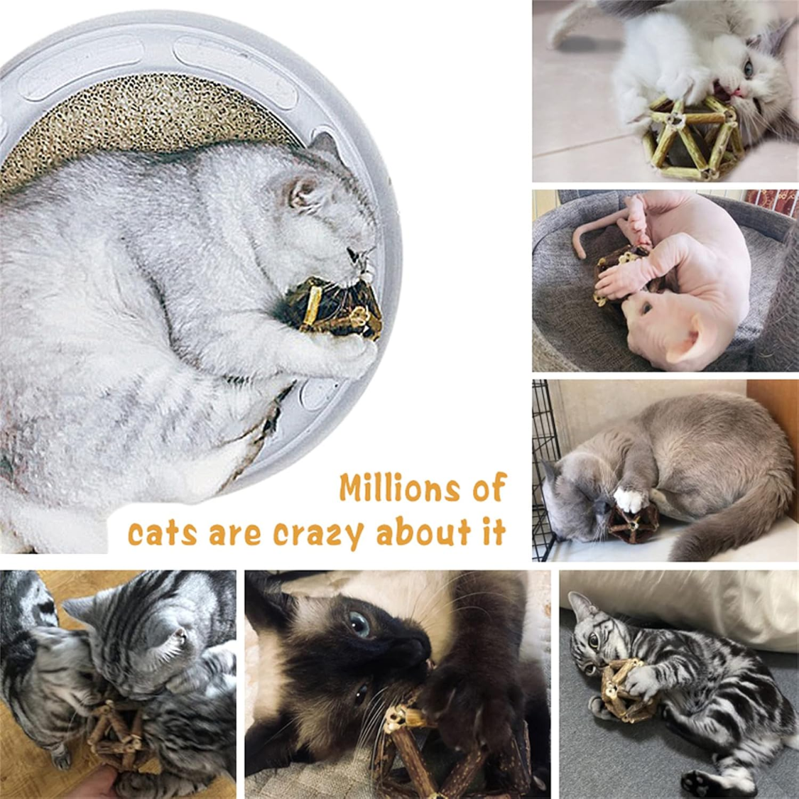 Collage of cats playing with silvervine ball toys