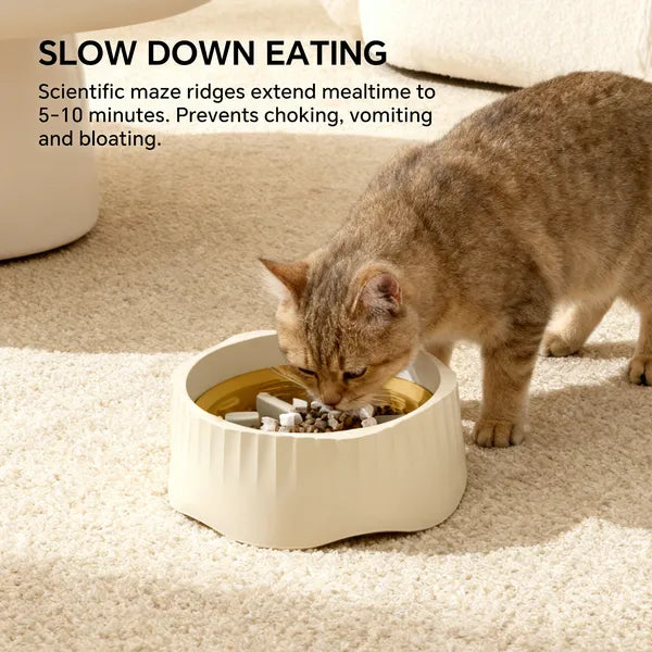 Tabby cat eating from slow feeder bowl – scientific maze ridges slow down eating to 5-10 minutes, prevents choking, vomiting and bloating