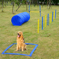 Dog in a blue pause box with tunnel and weave poles