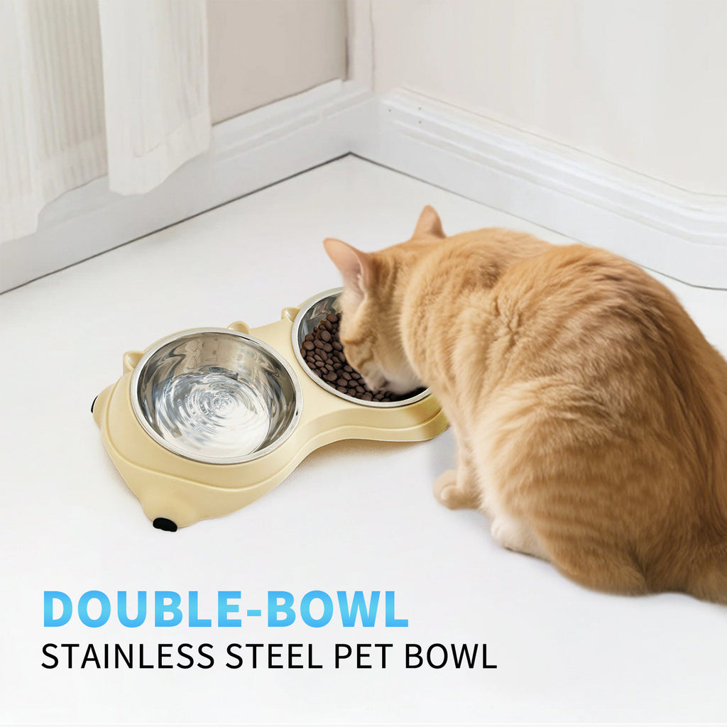 Orange cat eating from yellow double macaron stainless steel pet bowl