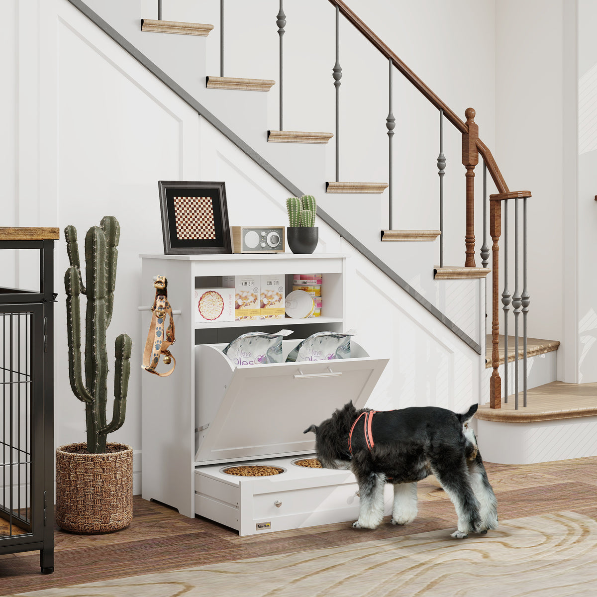 Schnauzer eating from a white pet feeder station storage cabinet – raised dog bowls with pet food storage shelves and leash hooks