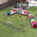 Multicolor dog agility obstacle course set up in a backyard