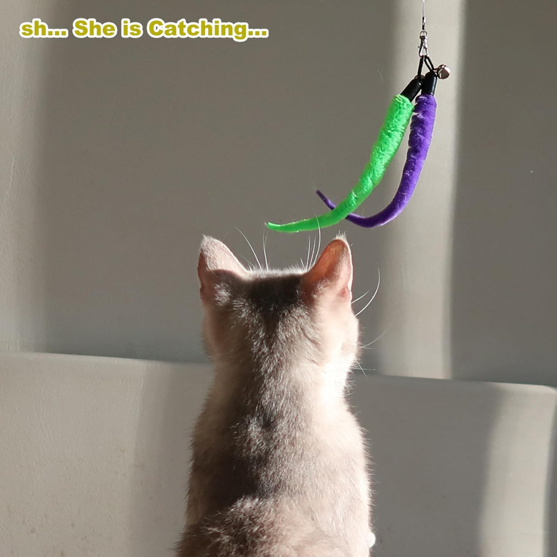 Gray cat watching a hanging wand toy with green and purple fuzzy worm attachments