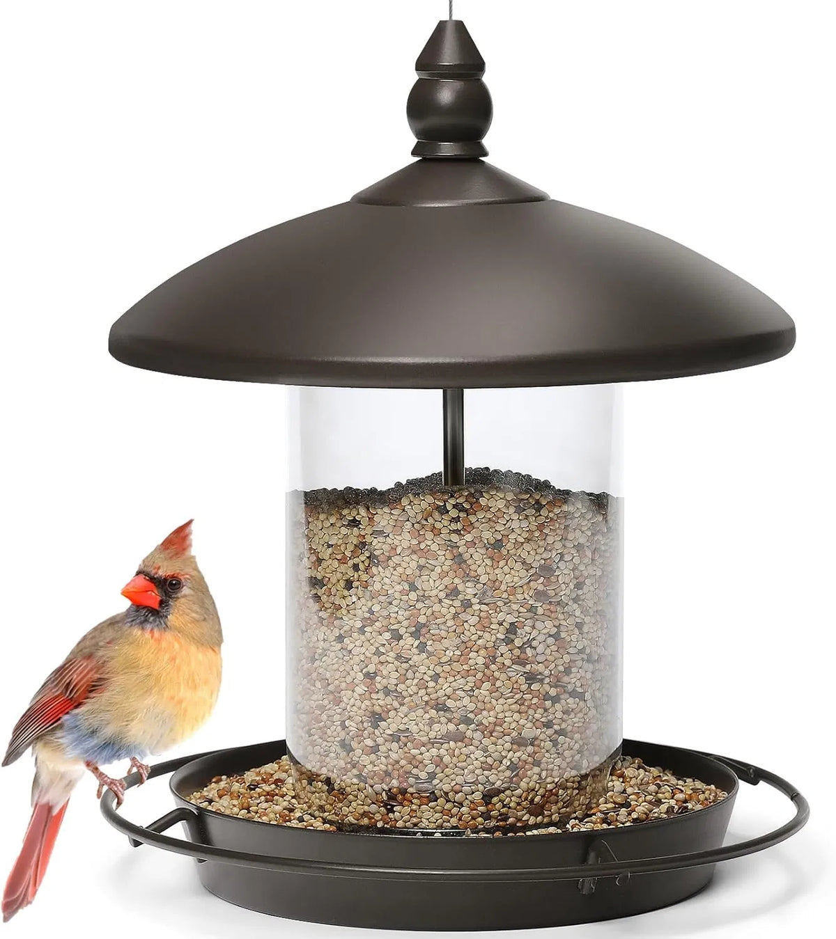 bronze metal roof bird feeder filled with wild bird seeds and cardinal perched on feeding tray
