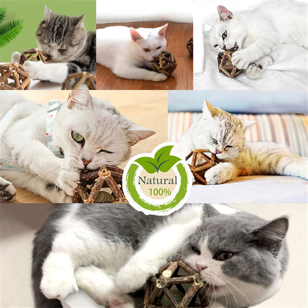 Cat playing with a natural silvervine catnip ball