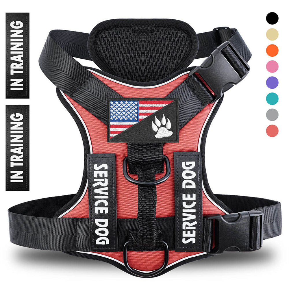 Red reflective no-pull service dog harness vest, back view with SERVICE DOG and IN TRAINING patches, adjustable straps and quick-release buckles