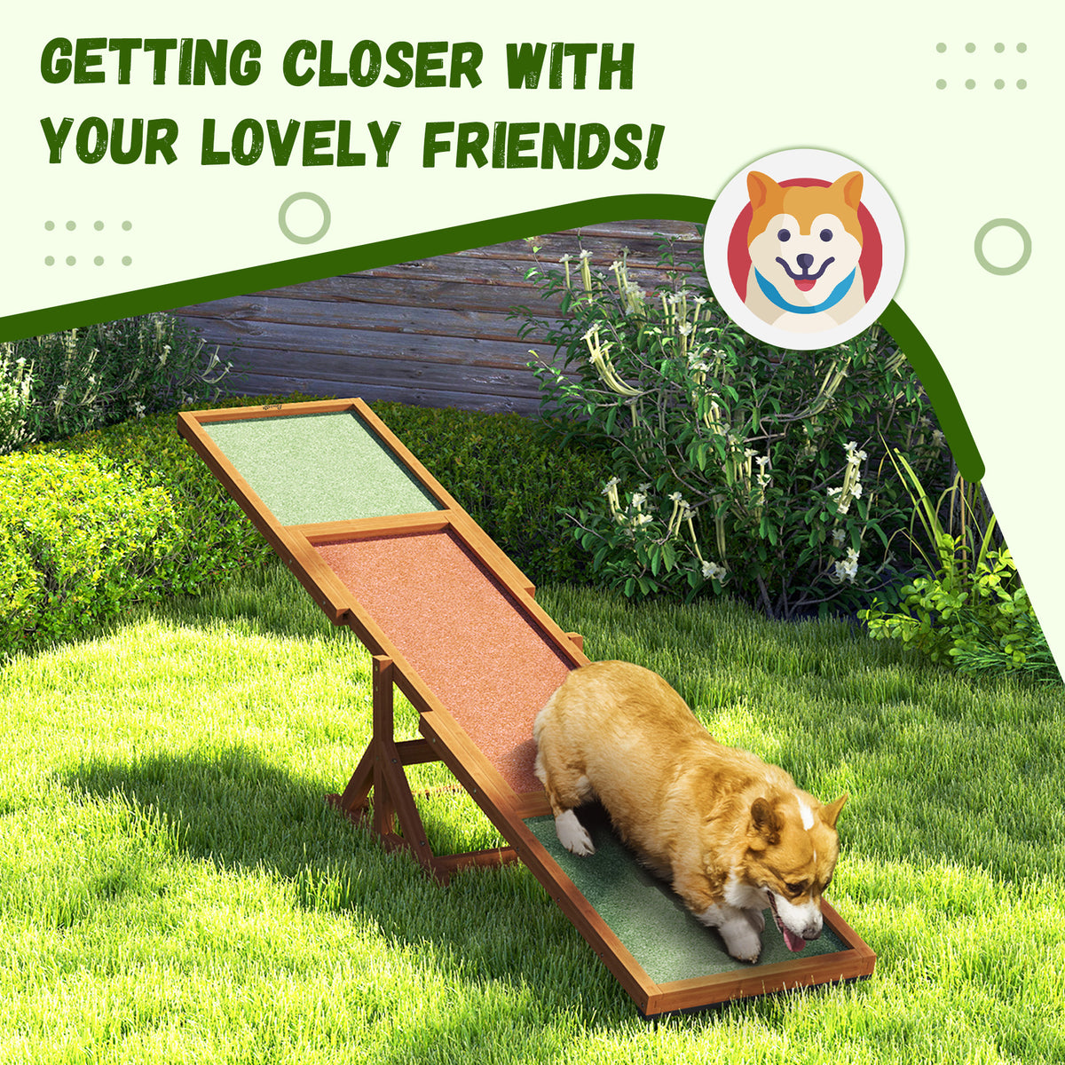 Dog approaching an orange wooden agility seesaw in a yard