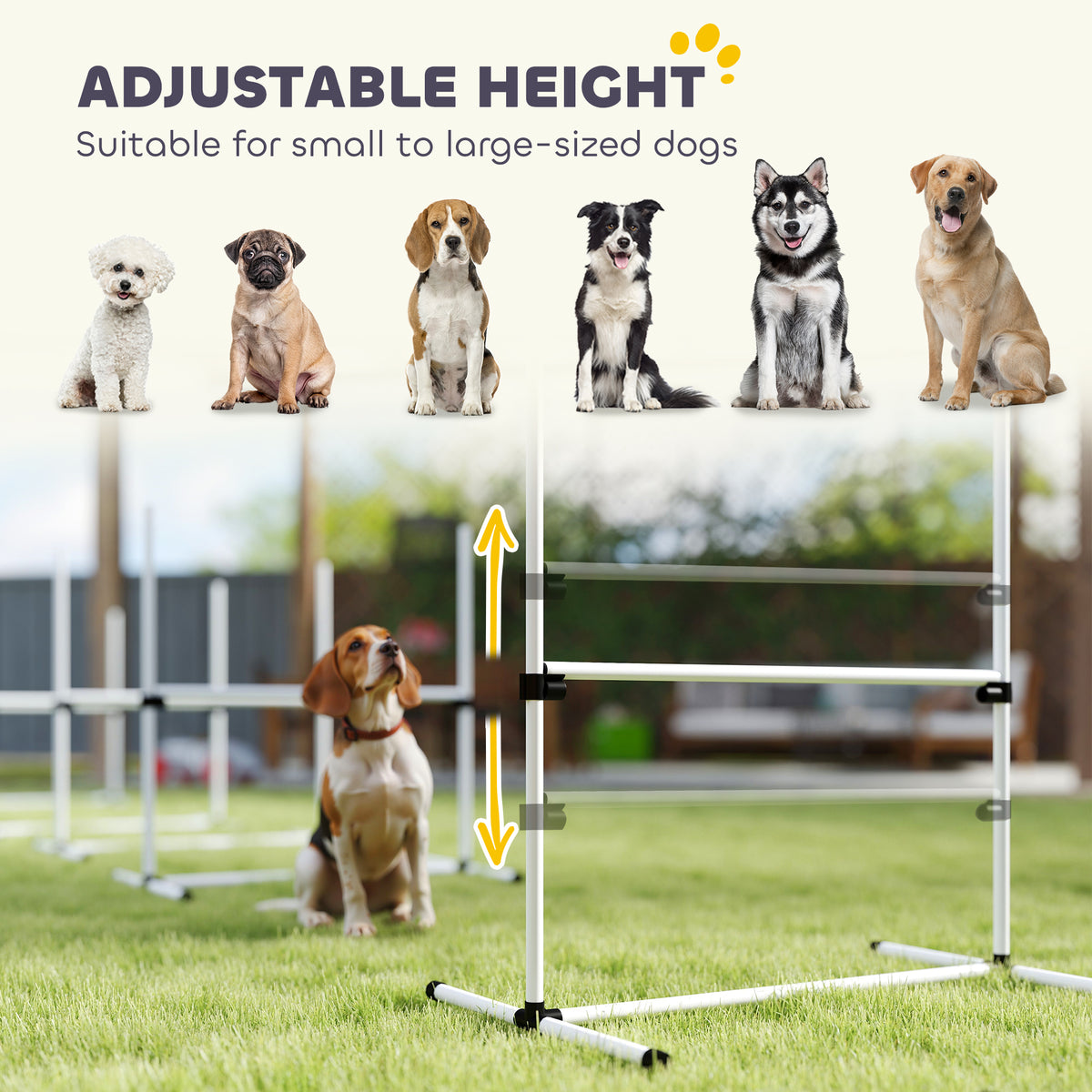 Adjustable height infographic showing six dogs of different sizes beside a white agility jump bar