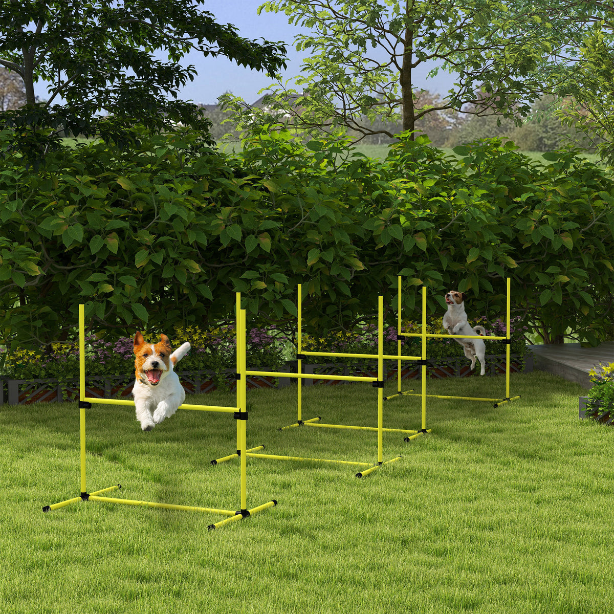 Two dogs jumping through yellow agility jump bars on green grass