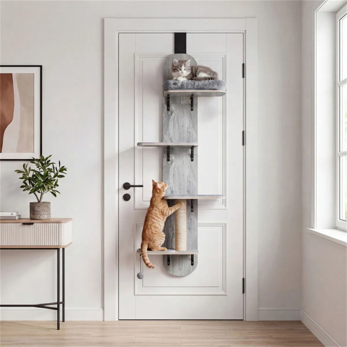 Grey door hanging cat tree in living room – cat resting on top perch, orange tabby scratching sisal post
