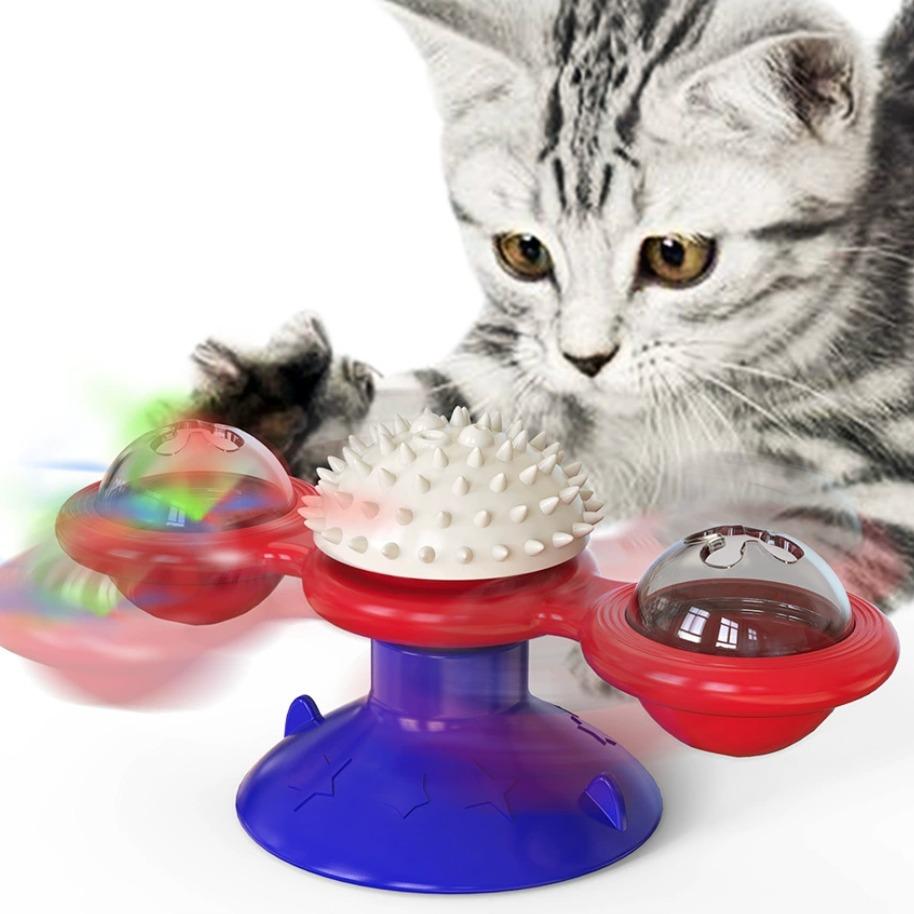 Silver tabby kitten playing with a red windmill cat toy with a blue suction-cup base, white spiky ball, and clear dome with a red ball inside.
