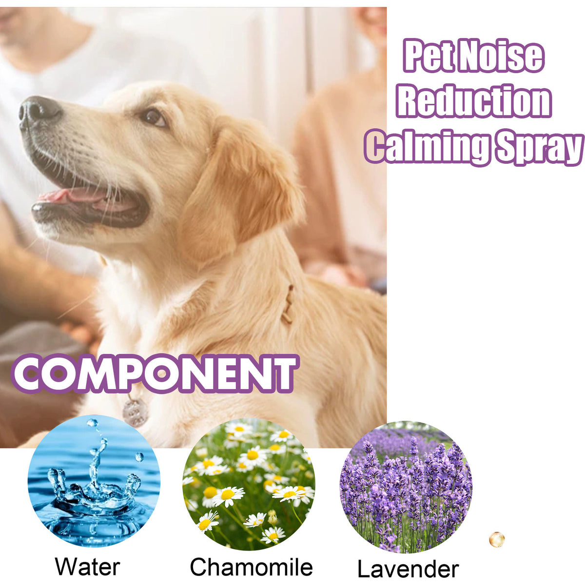 Component graphic of the calming spray showing its three ingredients: water, chamomile, and lavender, beside a golden retriever.