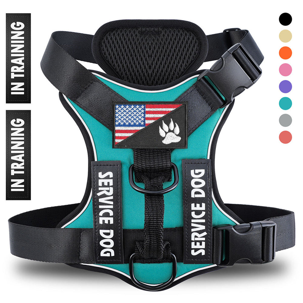 Teal reflective no-pull service dog harness vest, front view with SERVICE DOG and IN TRAINING patches, breathable mesh chest panel and D-rings